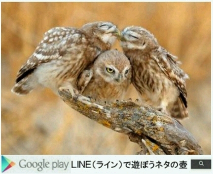 �悻�ł��A�悻��