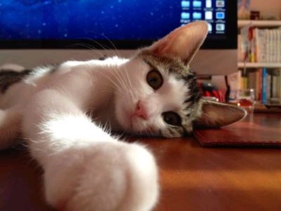 ����l��A�����̋@�B����G�T���o�Ă��܂���E�E�E�B