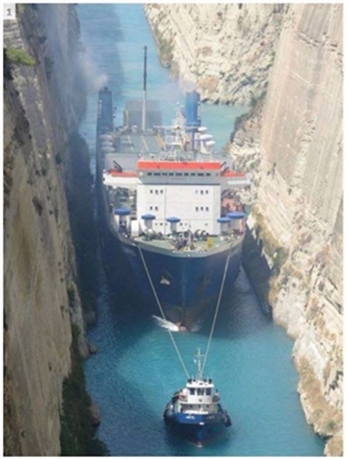 ���ǂ̘r���X�S�C�I