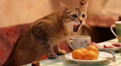 �܂��Ă��������Y������I�I�������̒��ɔƐl�����邩������Ȃ����Ă��Ƃł����I�H