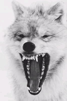 �q�؂̉Ƃ��ꌬ�ڂ��烌���K