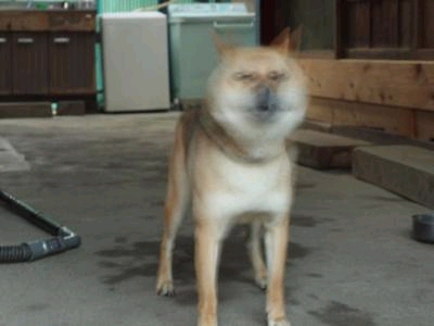 �������i���āu���邳���I�v�Ǝ�������A���ꂩ��}�i�[���[�h