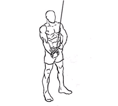 �݂�v���ʂ�������I