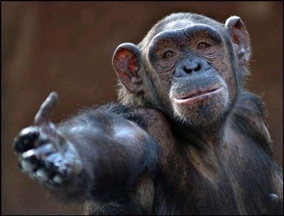 �o�i�i�̔������t�B�����Ă�