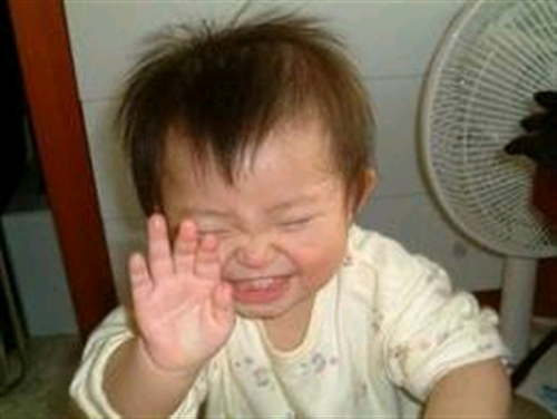 最高の日本車とは