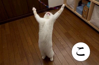 ���[��Ȃɂ������������I�I���ŐH�ׂ��}�O�����[��Ȃɂ������������I�I