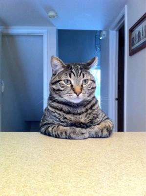 ���s�̉Ƒ���c���s���C�}���}���ŕ����Ă���