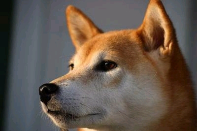 �u�Ƃ��Ă��[���v�Ɠ������{�[���������x���c�ɓ������Ď�l���ǂ����ɘA��Ă����ꂽ