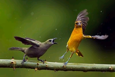 �|���b�̍Ō�́u���܂����I�v�̂Ƃ�