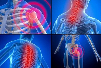 �u���̂ǂ���ւ񂪍D���H�v���ă��[��������Y�t����Ă���